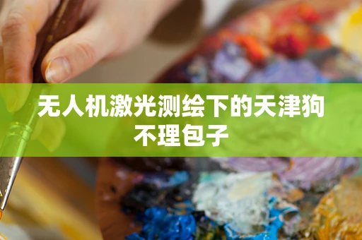无人机激光测绘下的天津狗不理包子