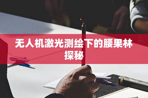 无人机激光测绘下的腰果林探秘