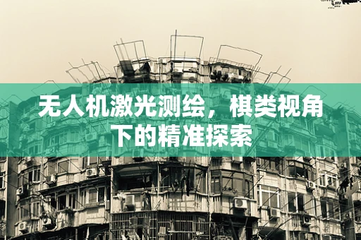 无人机激光测绘，棋类视角下的精准探索