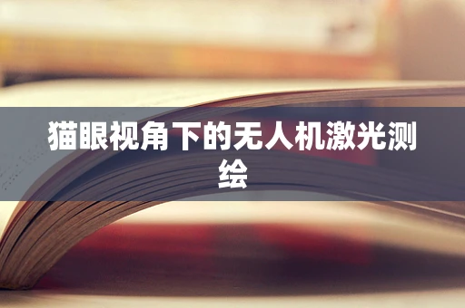 猫眼视角下的无人机激光测绘