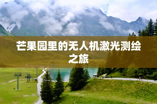 芒果园里的无人机激光测绘之旅