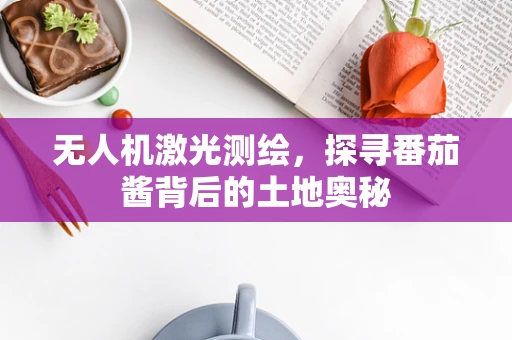 无人机激光测绘，探寻番茄酱背后的土地奥秘
