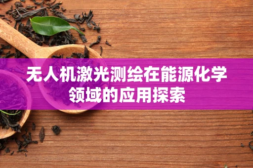无人机激光测绘在能源化学领域的应用探索