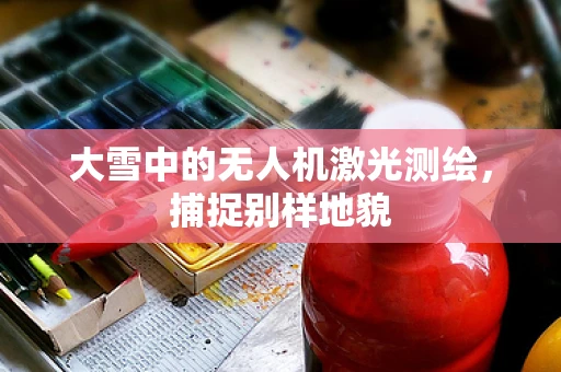 大雪中的无人机激光测绘，捕捉别样地貌