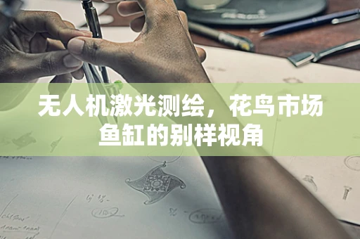 无人机激光测绘，花鸟市场鱼缸的别样视角