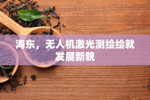 海东，无人机激光测绘绘就发展新貌