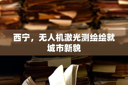 西宁，无人机激光测绘绘就城市新貌