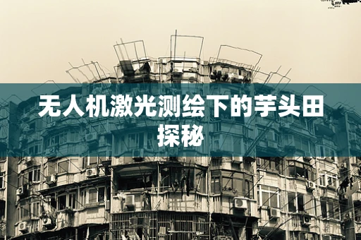 无人机激光测绘下的芋头田探秘