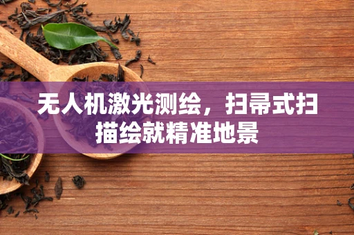 无人机激光测绘，扫帚式扫描绘就精准地景