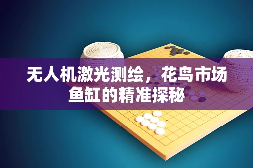 无人机激光测绘，花鸟市场鱼缸的精准探秘