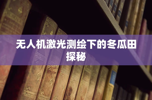 无人机激光测绘下的冬瓜田探秘