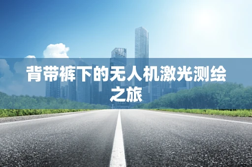 背带裤下的无人机激光测绘之旅