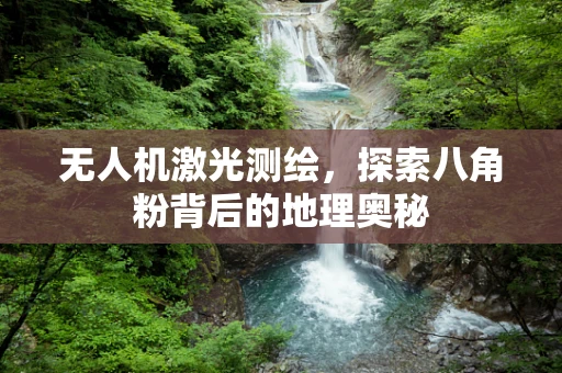 无人机激光测绘，探索八角粉背后的地理奥秘