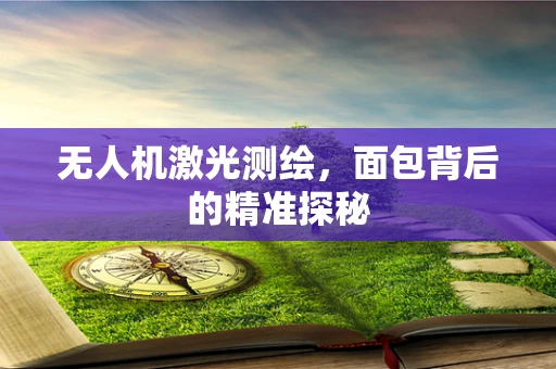 无人机激光测绘，面包背后的精准探秘