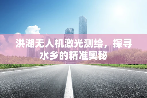 洪湖无人机激光测绘，探寻水乡的精准奥秘