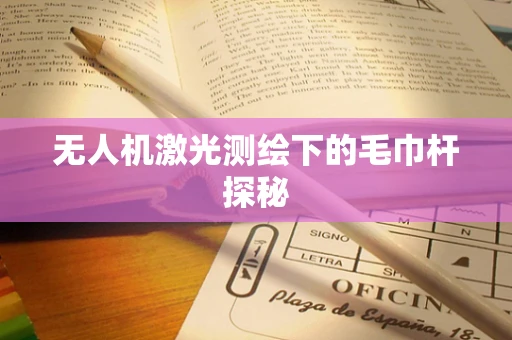 无人机激光测绘下的毛巾杆探秘