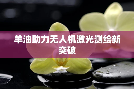 羊油助力无人机激光测绘新突破
