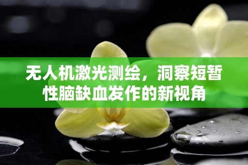 无人机激光测绘，洞察短暂性脑缺血发作的新视角