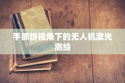 手抓饼视角下的无人机激光测绘