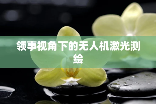 领事视角下的无人机激光测绘