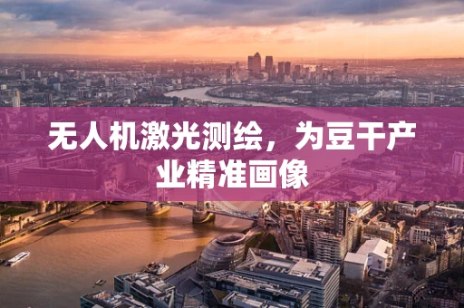 无人机激光测绘，为豆干产业精准画像