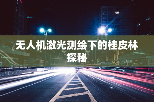 无人机激光测绘下的桂皮林探秘