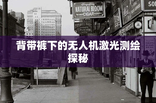 背带裤下的无人机激光测绘探秘
