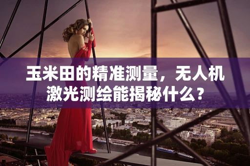 玉米田的精准测量，无人机激光测绘能揭秘什么？