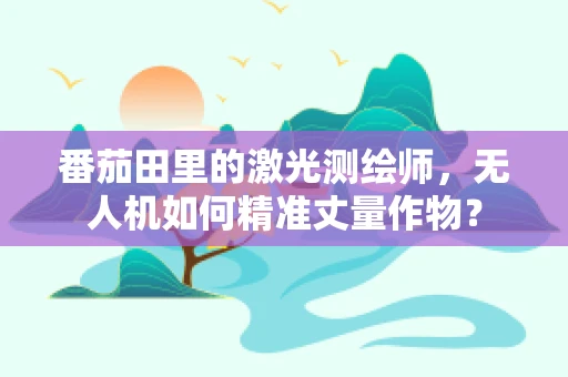 番茄田里的激光测绘师，无人机如何精准丈量作物？