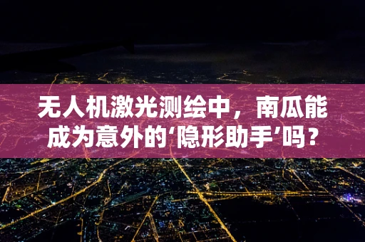 无人机激光测绘中，南瓜能成为意外的‘隐形助手’吗？
