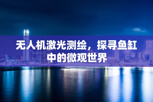 无人机激光测绘，探寻鱼缸中的微观世界