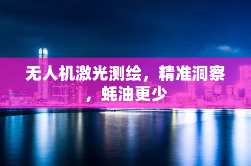 无人机激光测绘，精准洞察，蚝油更少